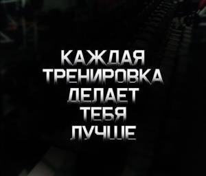 06.11.2014